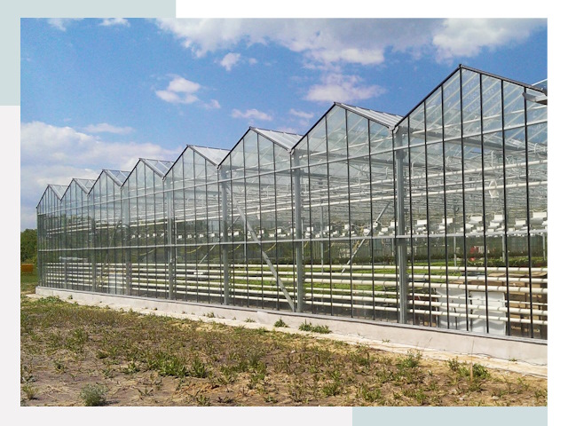Строительство теплиц в Шахты от 651 руб. за м²